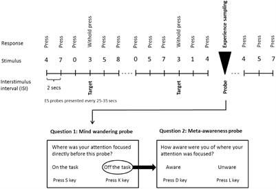 Side effects of monaural beat stimulation during sustained mental work on mind wandering and performance measures